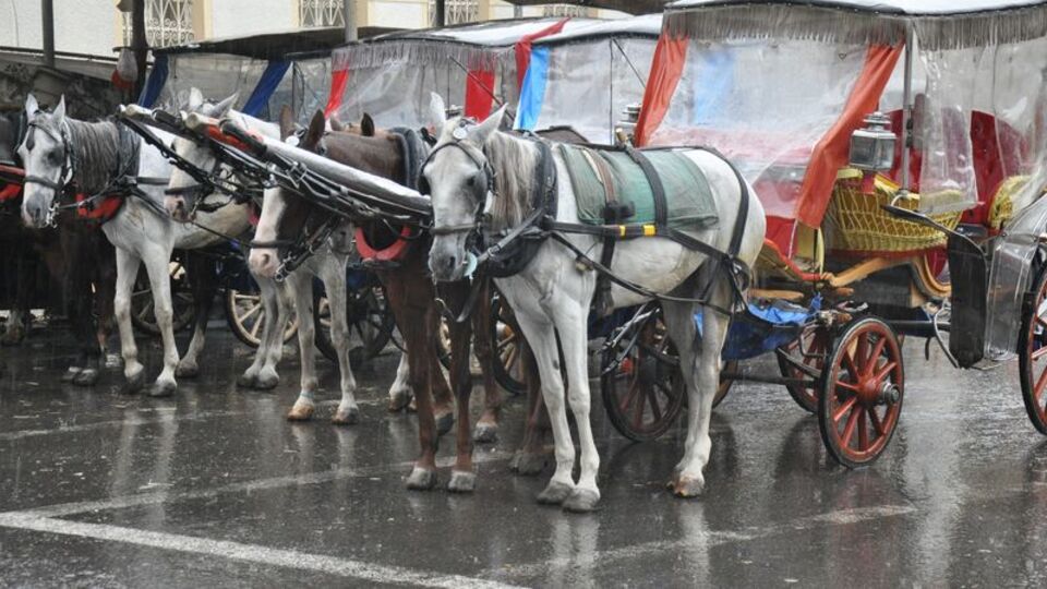 Ruam geçici önlemlerle yok edilemiyor!