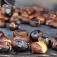 Soğuk havada kestane kuyruğu