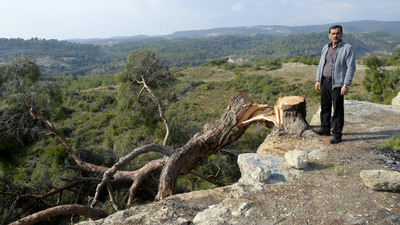 Ciğerlerimizi kopardılar!