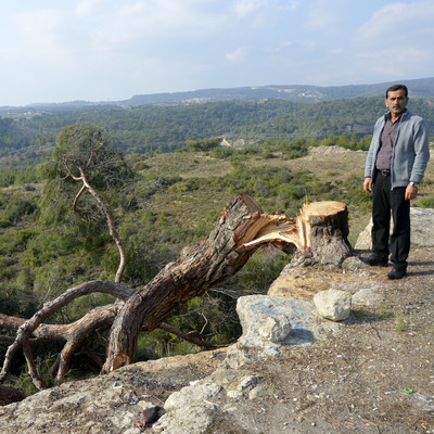 Ciğerlerimizi kopardılar!