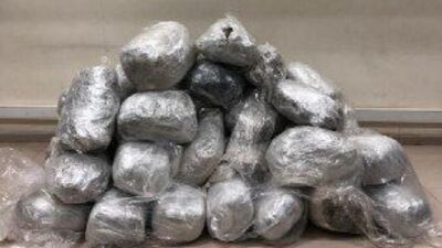 Mısırların arasından çıktı: 221 kilo