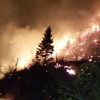 Karadeniz'de 26 noktada orman yangını