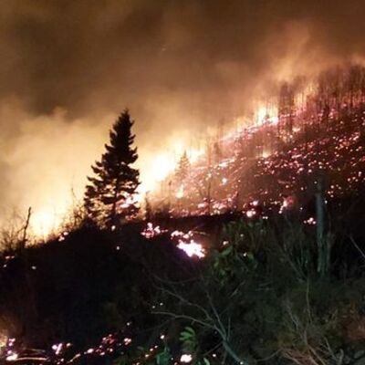 Karadeniz'de 26 noktada orman yangını