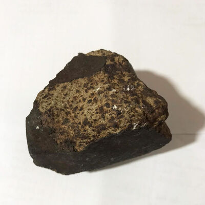 Ceviz ağacı dikerken buldu