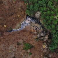 Sular çekilince ortaya çıkan felaket!