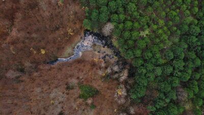 Sular çekilince ortaya çıkan felaket!
