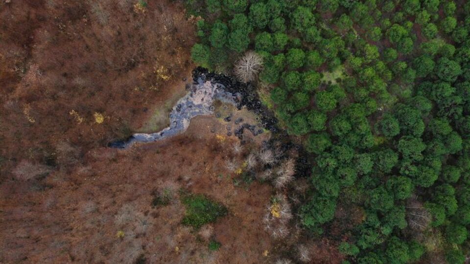 Sular çekilince ortaya çıkan felaket!