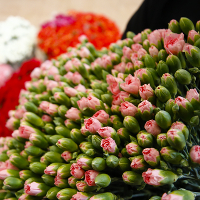 İhracatta rekor kırıldı