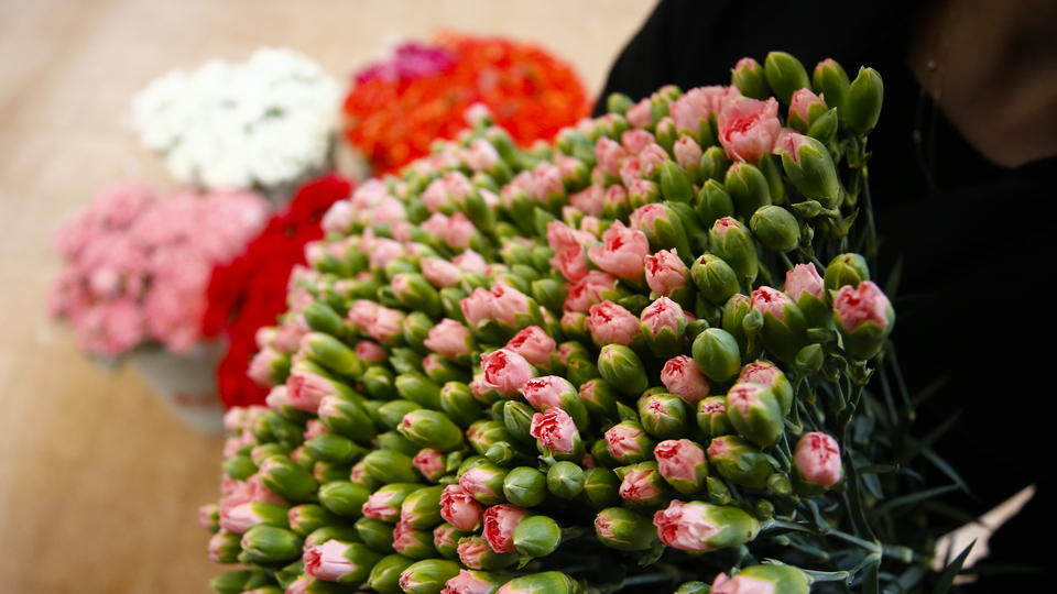 İhracatta rekor kırıldı