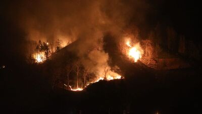 Rize ve Samsun'da örtü yangınları