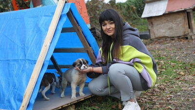 Atık tahtalarla sıcak yuva!