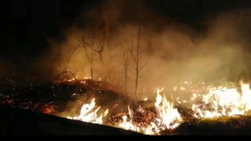 Trabzon yangınlarıyla ilgili 7 kişiye soruşturma