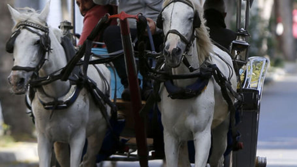 İstanbul Valiliği'nde "fayton" görüşmesi