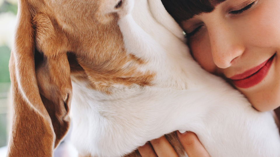 Betterwithpets başvuruları başladı