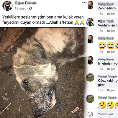 Akılalmaz vahşeti paylaştı!