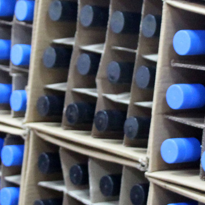 Yılbaşında zehirleyeceklerdi!