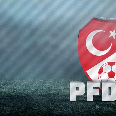 Terim ve Çebi'ye ceza yok!