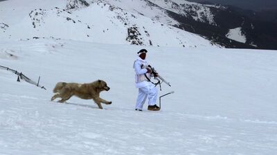 Meteorolojiden Mehmetçiğe 'anlık hava'