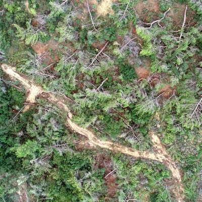 Bir gecede bin 511 tane! İfadesi şoke etti!