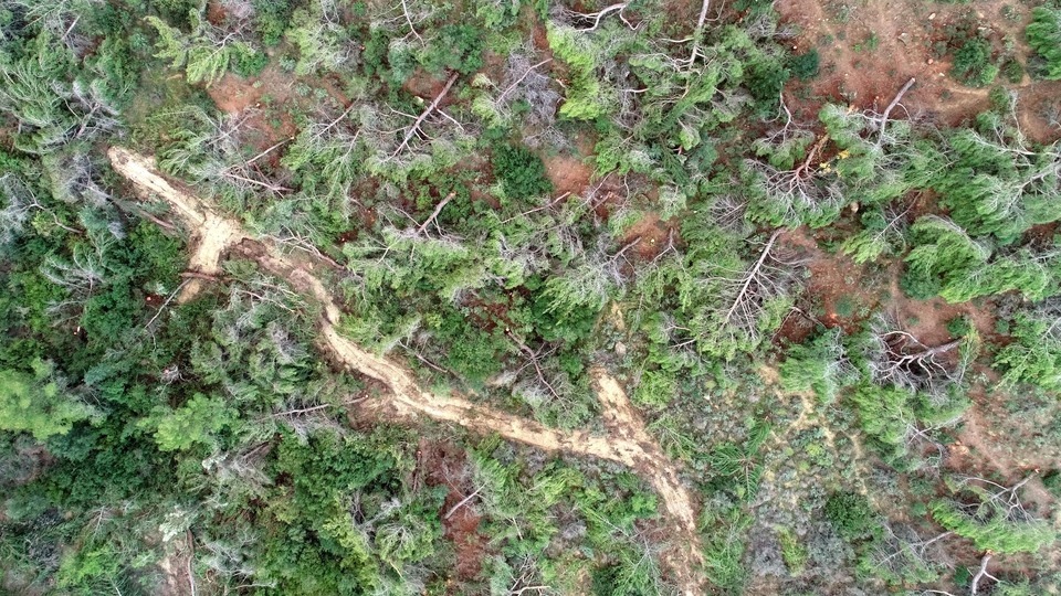 Bir gecede bin 511 tane! İfadesi şoke etti!