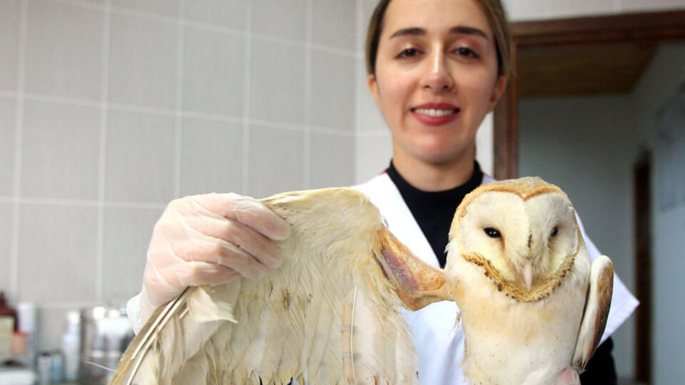 Yaralı halde bulunmuştu, hayata böyle tutundu