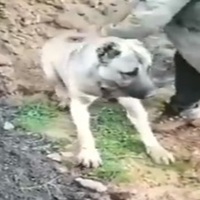 Bunun adı canavarlık!