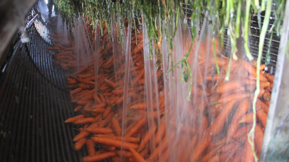 Üreticiler verimden memnun