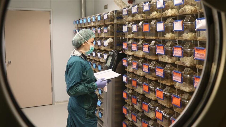 Yerli ilaç için önemli adım!