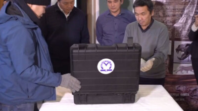 Küçük kız tesadüfen buldu