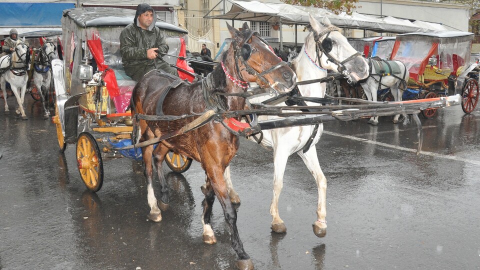 Adalar'da 'yok artık' dedirten detay!