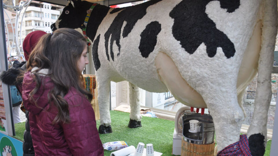 Bu inek aromalı süt veriyor!