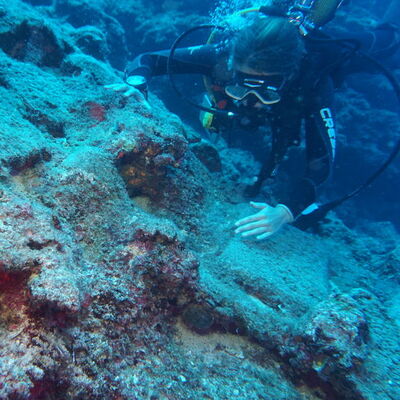 Büyük keşif! Bakır külçeler heyecanlandırdı