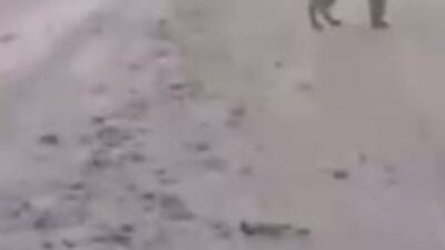 3 aydır bırakıldığı yerde bekliyor! Bunun adı "sadakat!"