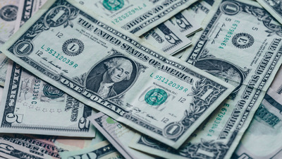 Dolar 2020'ye nasıl başladı?