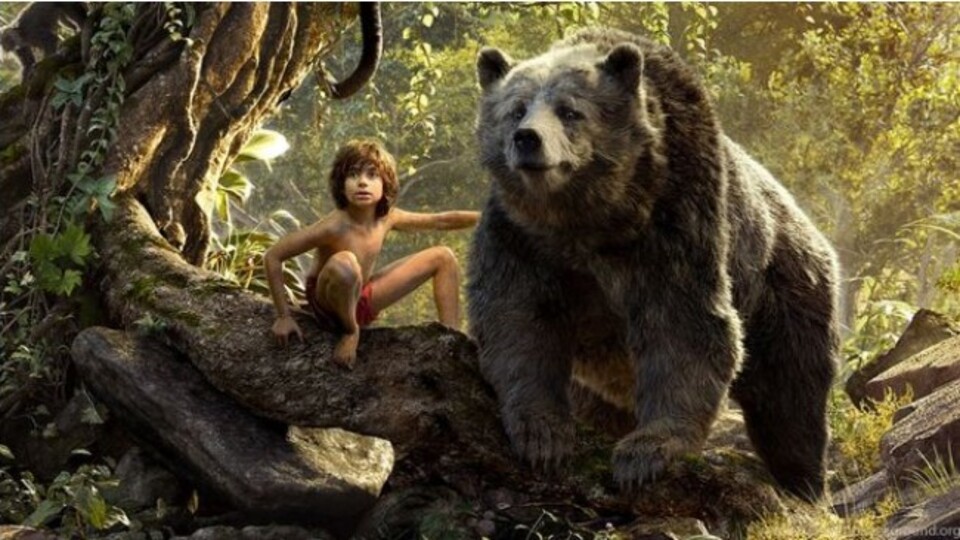 Orman Çocuğu filmi konusu ve oyuncuları