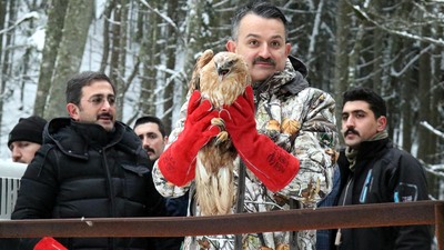 Yaban hayatına yem desteği