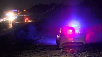 İstanbul'da ormanlık alanda dehşet!