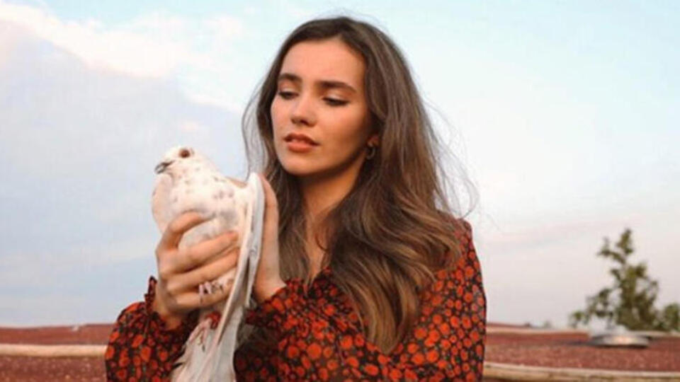 Güvercin bu akşam neden yok?