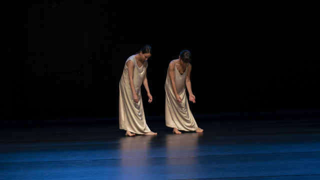 'Gölge Veri' Arter'de