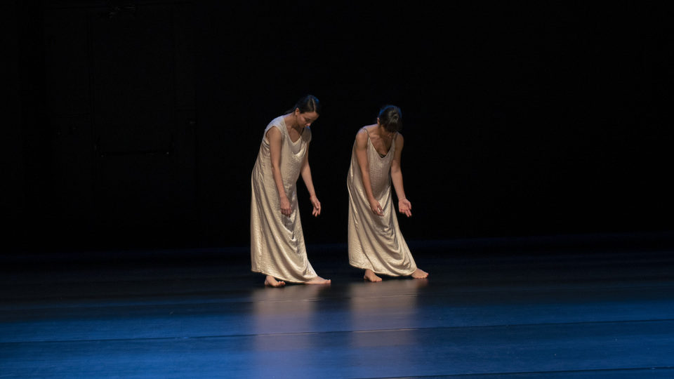 'Gölge Veri' Arter'de