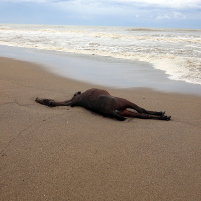 Fırtına sırasında akılalmaz görüntü!