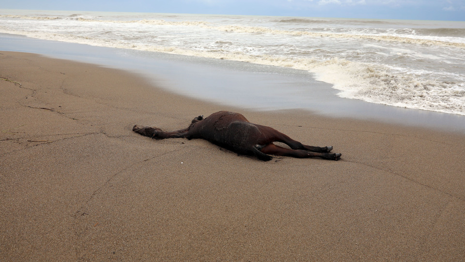 Fırtına sırasında akılalmaz görüntü!