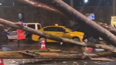 Çırağan Sarayı girişinde ağaç devrildi