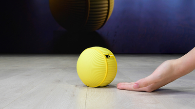 Tenis topu değil kişisel robotunuz!