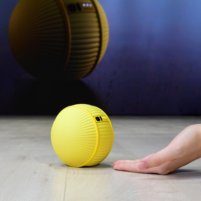 Tenis topu değil kişisel robotunuz!