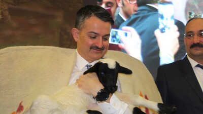 Küçükbaş hayvancılıkta "atılım" stratejisi