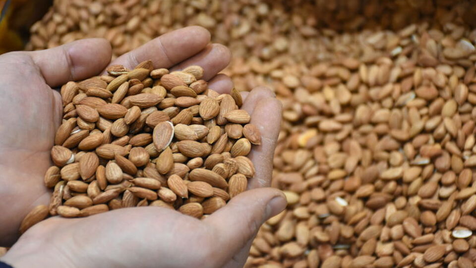 Kanser hastalarına umut olacak!