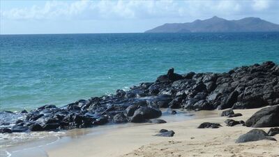 Gizemli uğultunun sırrı çözüldü