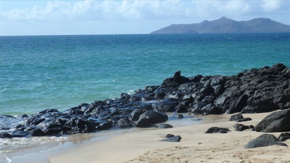 Gizemli uğultunun sırrı çözüldü