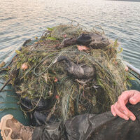 Sapanca'da 'hayalet ağ' katliamı